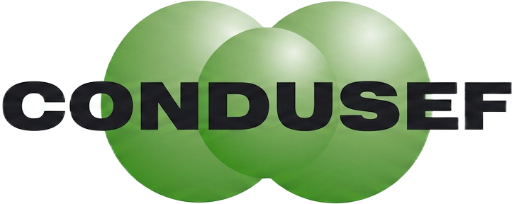 Comisión Nacional para la Protección y Defensa de los Usuarios de Servicios Financieros (CONDUSEF)